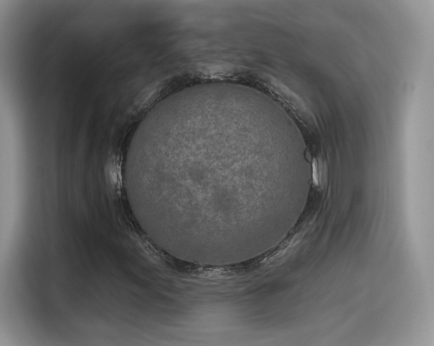 X0000115651155200911171437