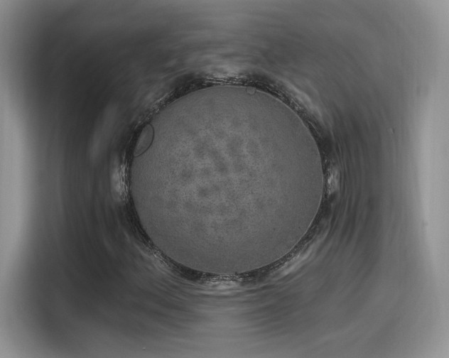 X0000115651156200911171437