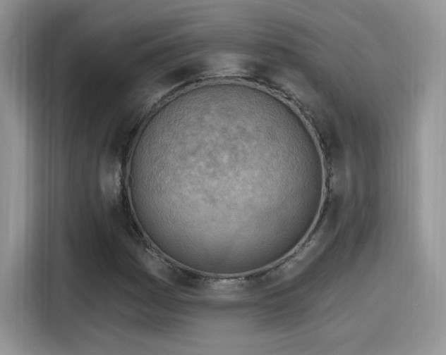 X0000115651161200911171437