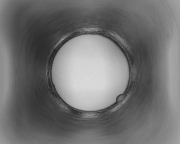 X0000115651162200911171437