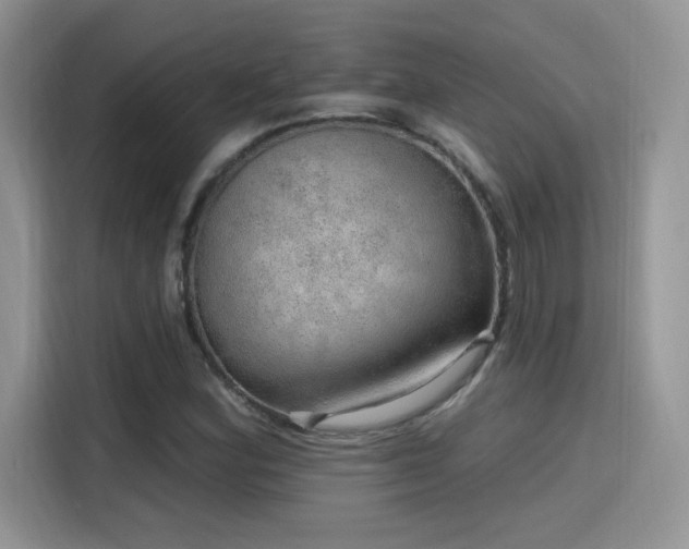 X0000115651164200911171437