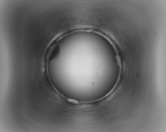 X0000115651165200911171436