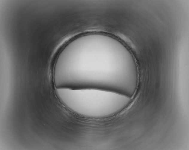 X0000115651167200911171436