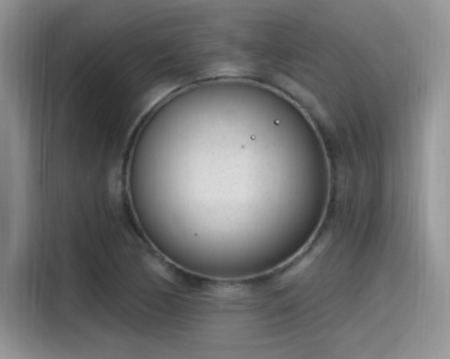 X0000115651170200911171436