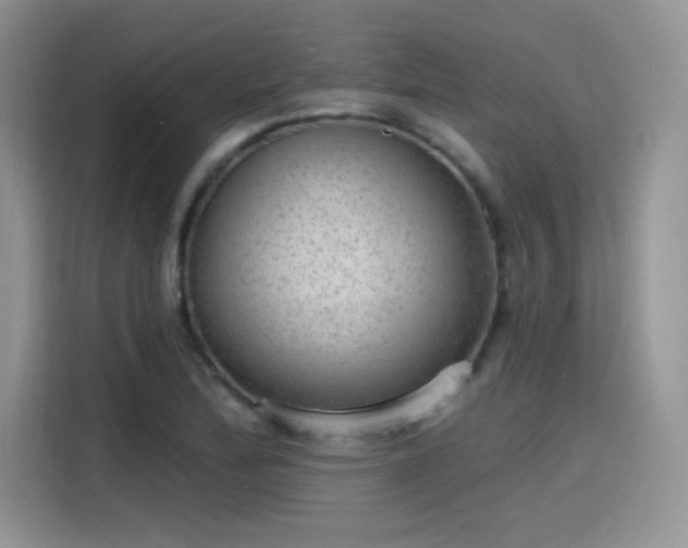 X0000115651172200911171436