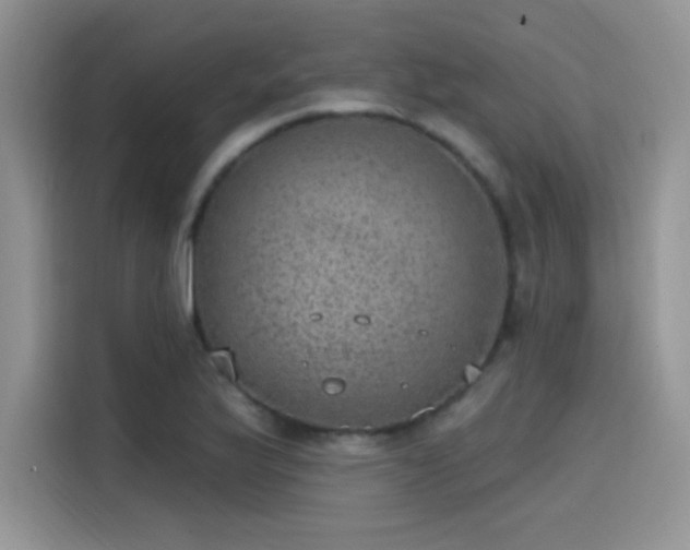 X0000115651175200911171436