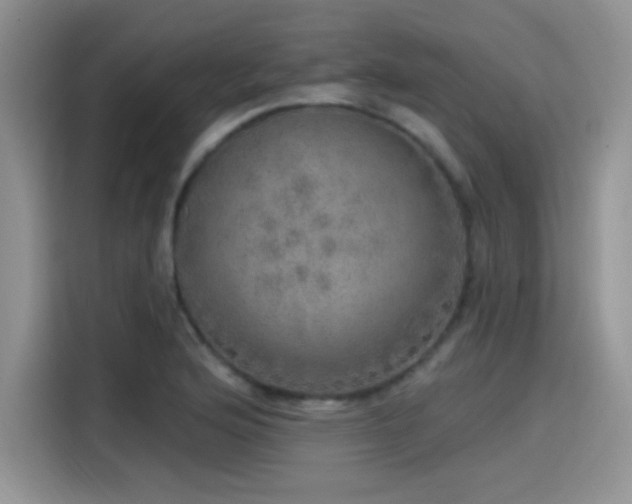 X0000115651176200911171436