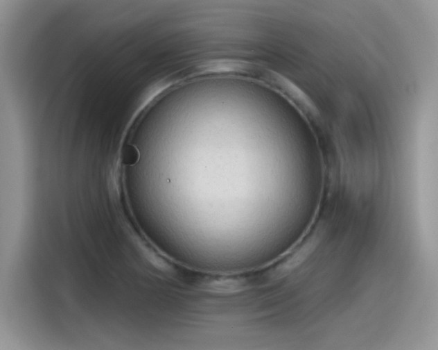 X0000115651178200911171436