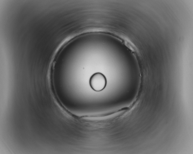 X0000115651181200911171436