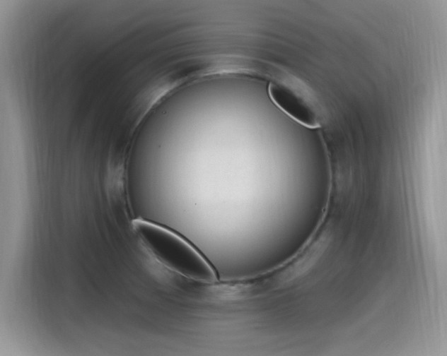 X0000115651185200911171436