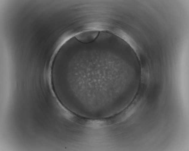 X0000115651187200911171436