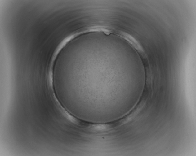 X0000115651188200911171436