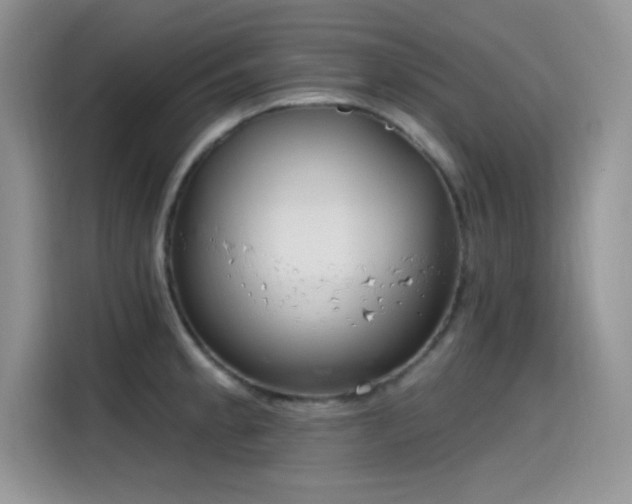 X0000115651189200911171436