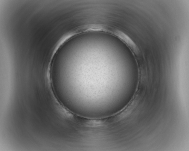 X0000115651190200911171436