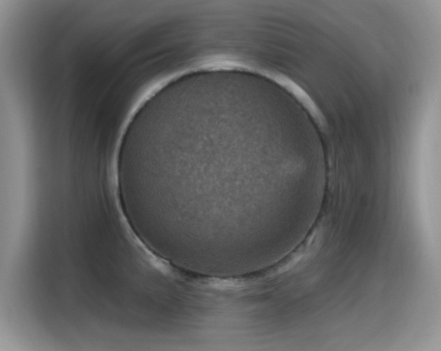 X0000115651191200911171436