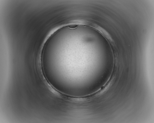 X0000115651192200911171436