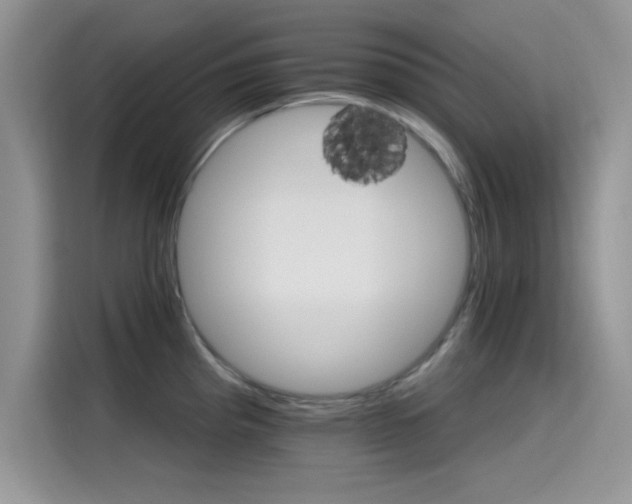 X0000115651193200911171436