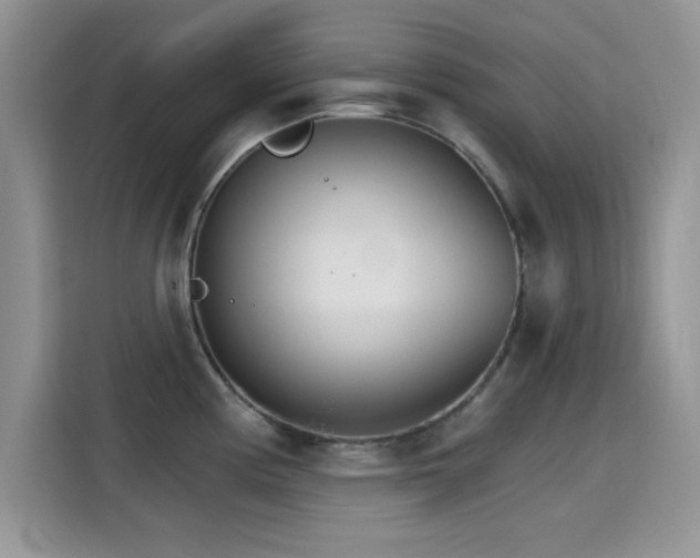 X0000115651194200911171436