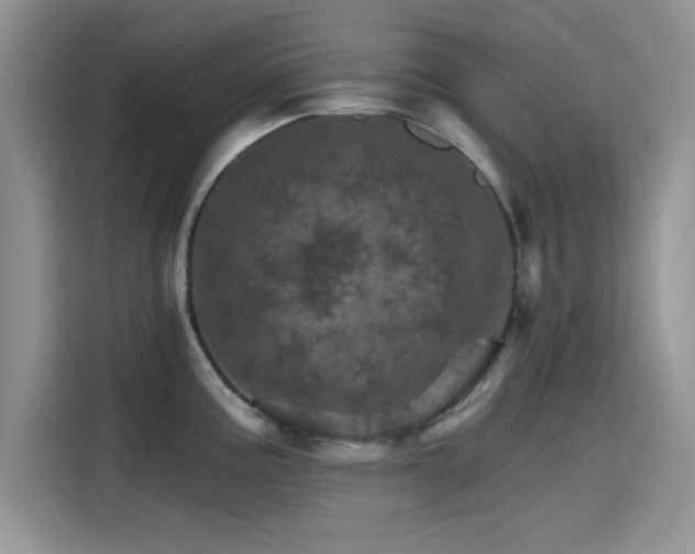 X0000115651195200911171436