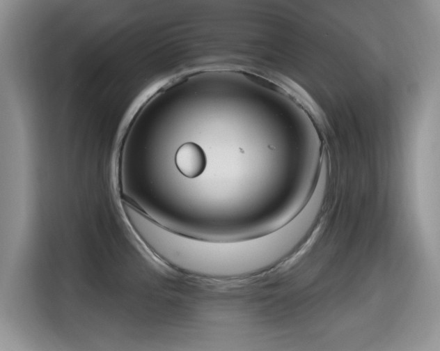 X0000115651196200911171436