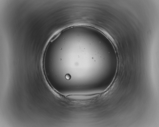 X0000115651197200911171436