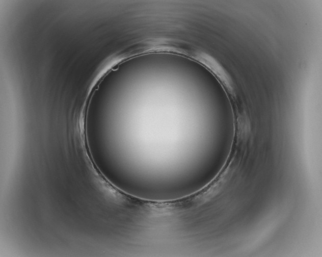 X0000115651198200911171436