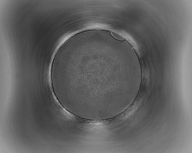 X0000115651199200911171436