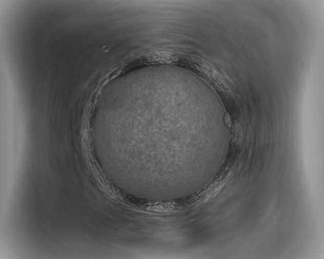 X0000115651201200911171435