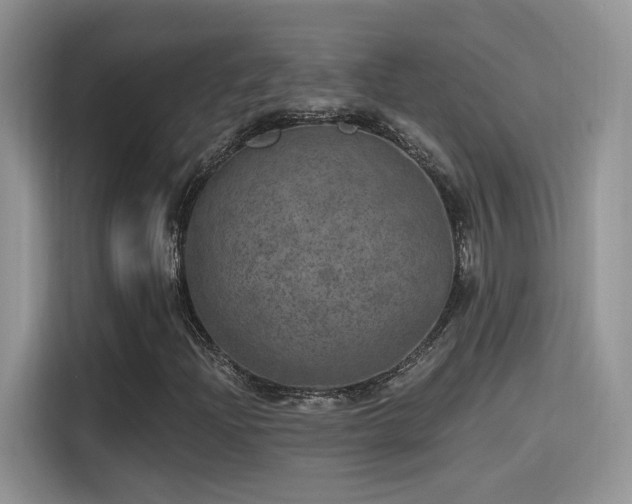 X0000115651204200911171435