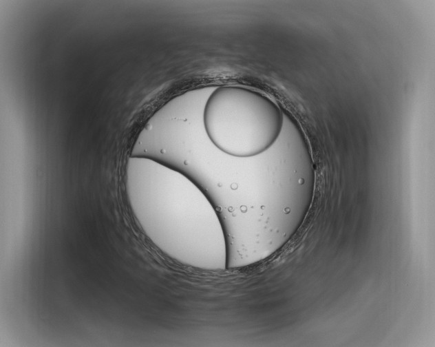 X0000115651205200911171435