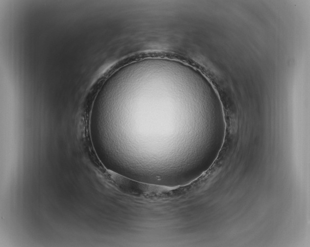 X0000115651208200911171436