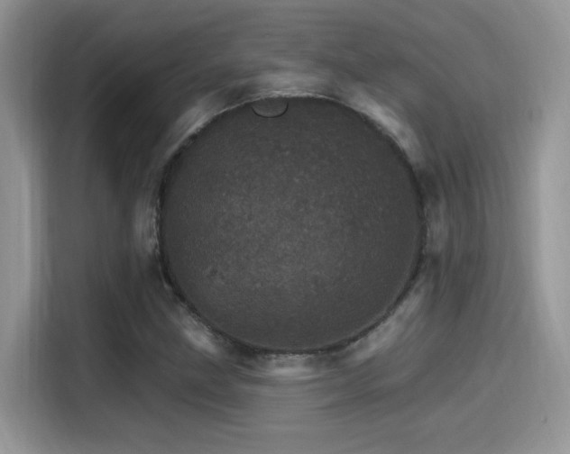 X0000115651211200911171436