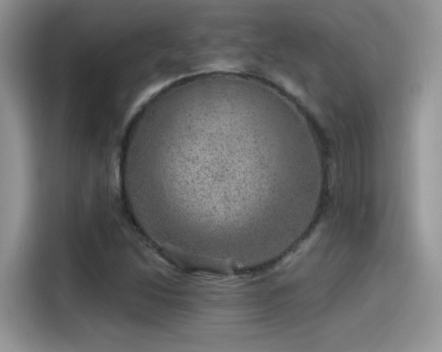 X0000115651214200911171436