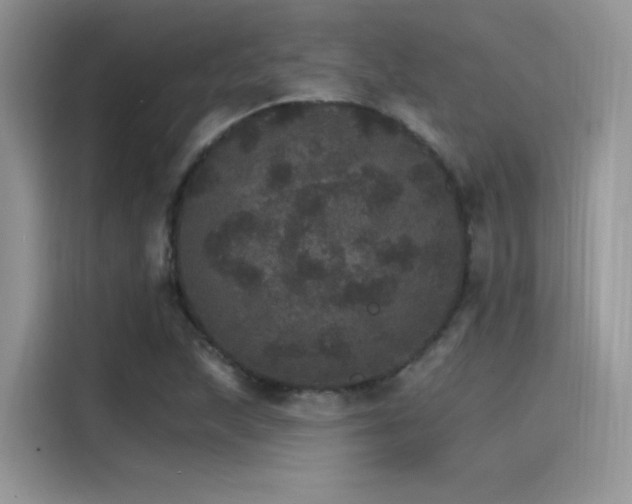 X0000115651215200911171436