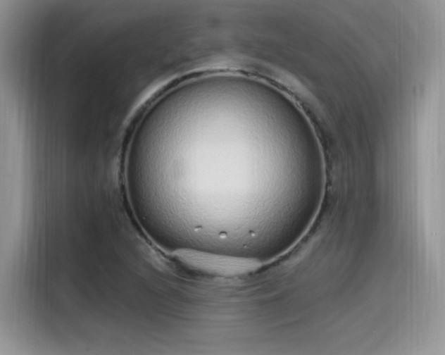 X0000115651216200911171436