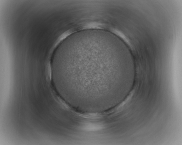 X0000115651219200911171436