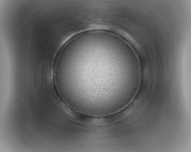 X0000115651220200911171436