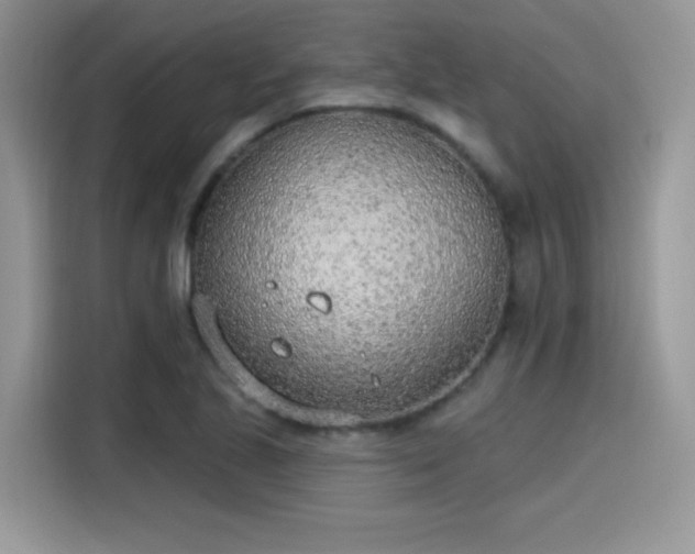 X0000115651221200911171436