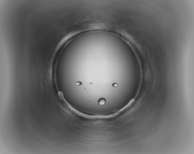 X0000115651222200911171436