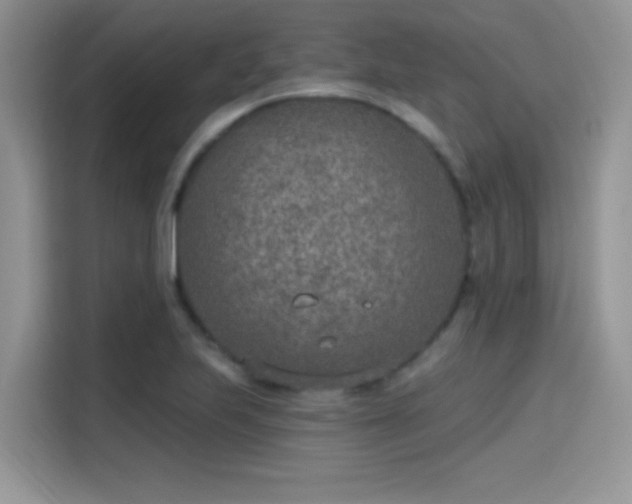 X0000115651223200911171436