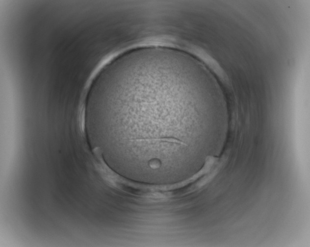 X0000115651224200911171436