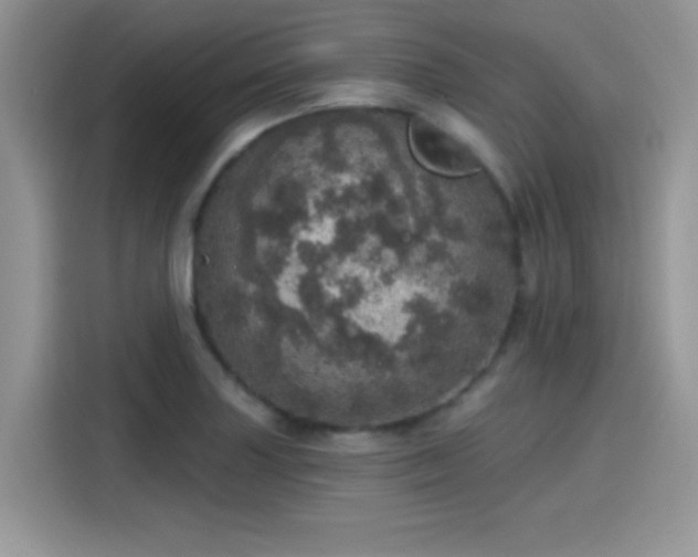 X0000115651227200911171436