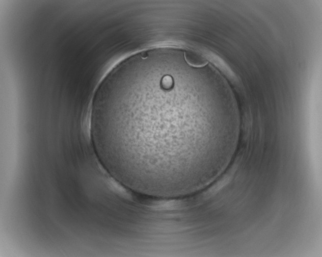 X0000115651228200911171436