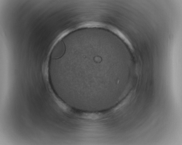 X0000115651229200911171436