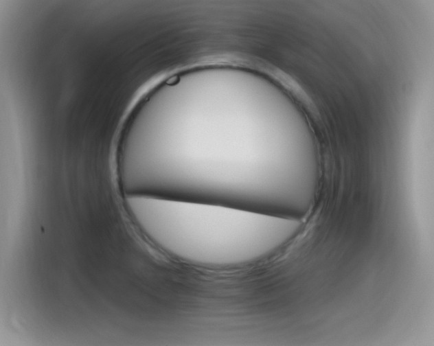 X0000115651230200911171436