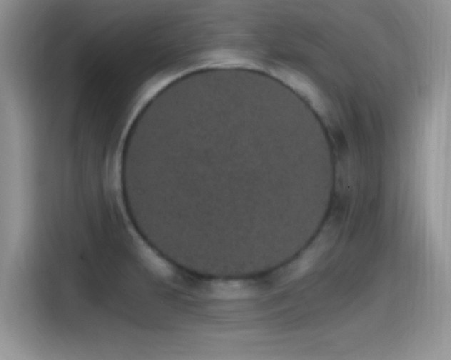 X0000115651231200911171436