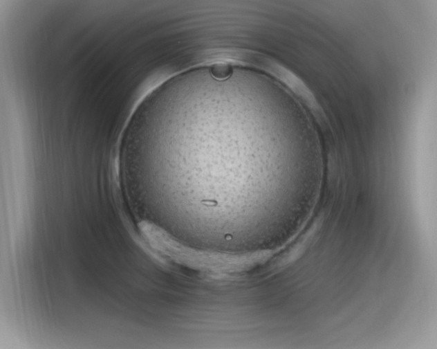 X0000115651234200911171436