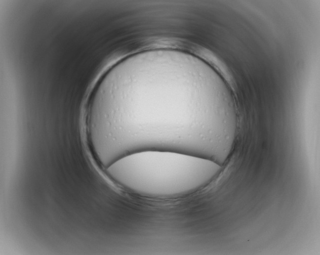 X0000115651235200911171436