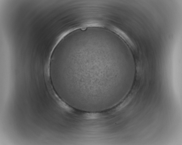 X0000115651236200911171436