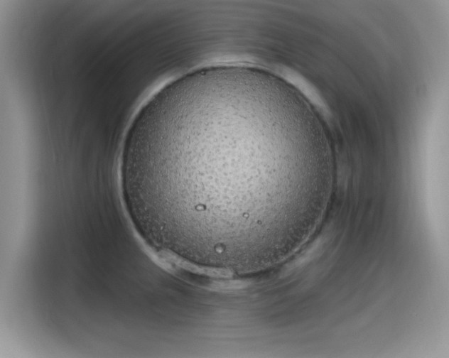 X0000115651237200911171436